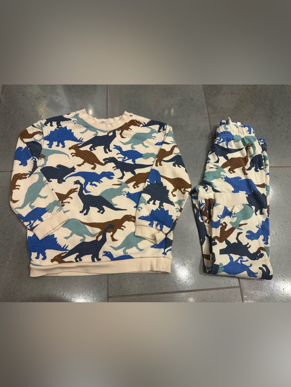 H&M 5/6 Dinosaur Sweatshirt Pant Outfit Bundle Set Triceratops Trex Brontosaurus